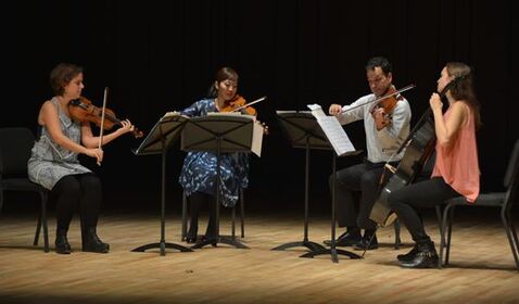 美國(guó)著名弦樂(lè)四重奏樂(lè)隊(duì)Mi ...